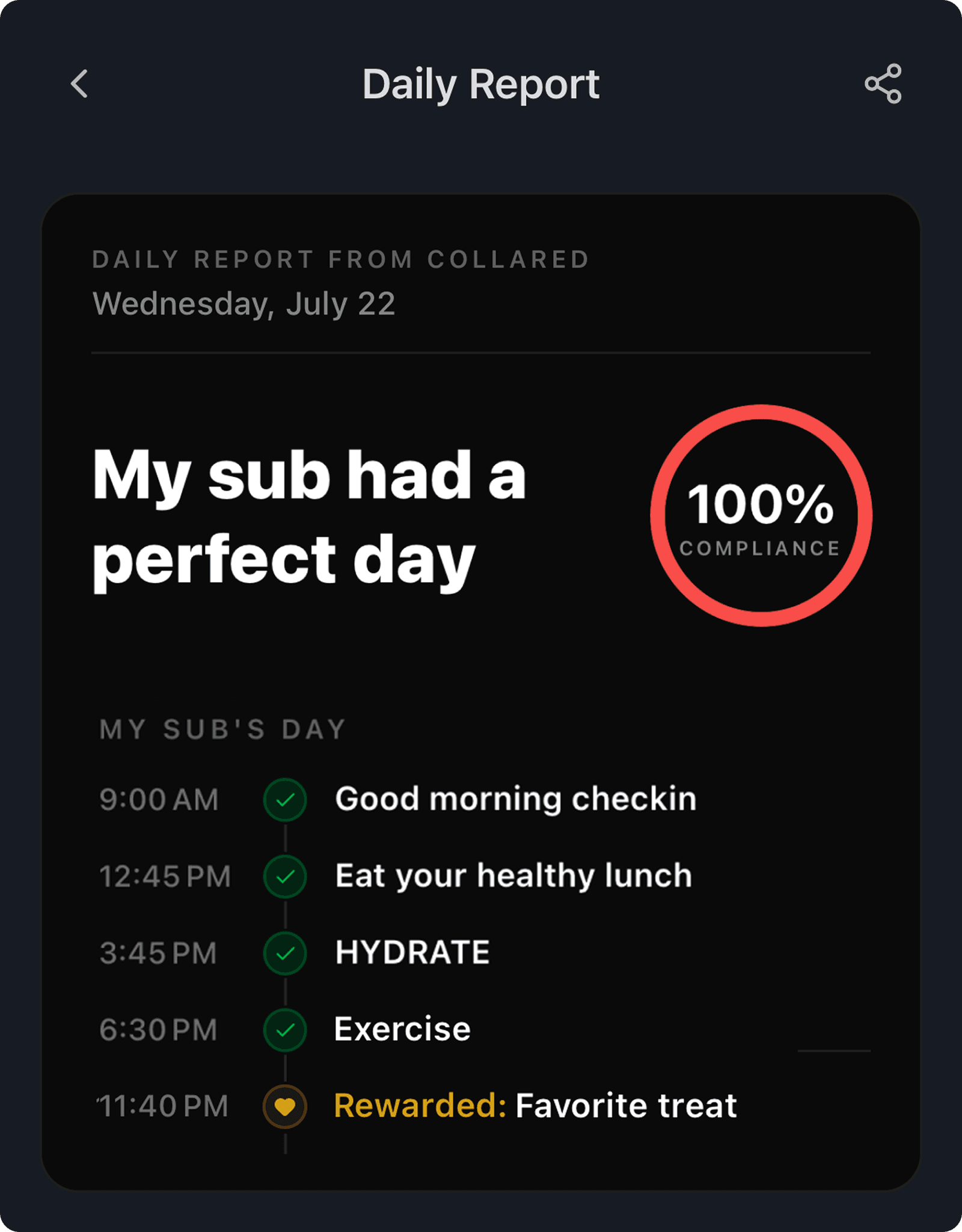 Daily report in the Collared BDSM habit tracker showing a sub's perfect day with 100% compliance