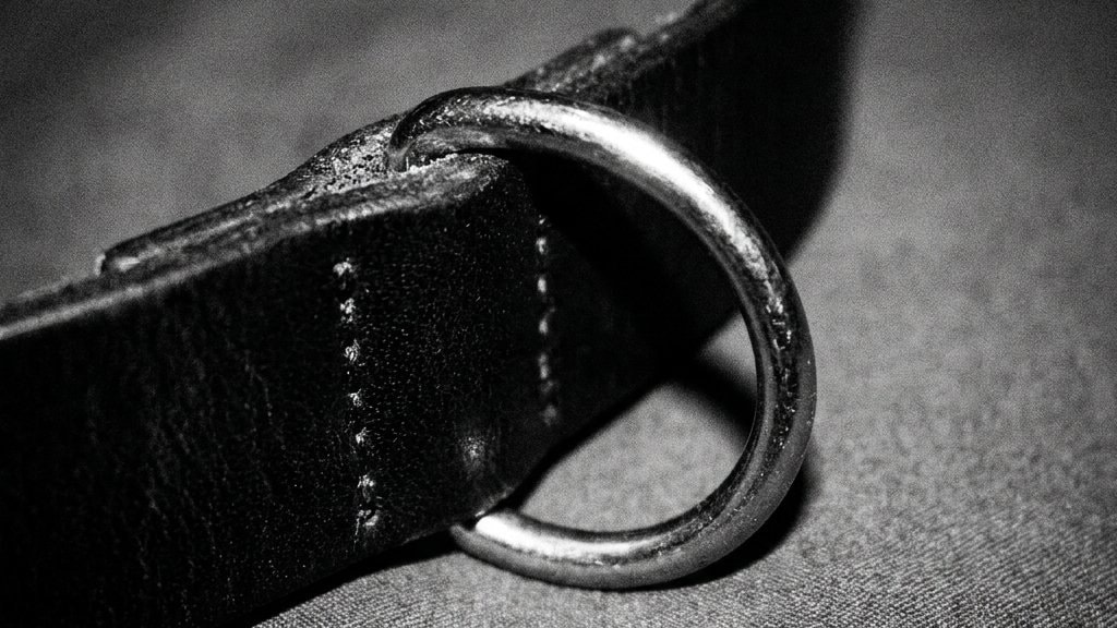 A close-up of a black leather collar with a heavy silver O-ring, lying on grey fabric
